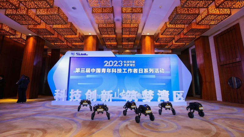 信息安全技术规范标准：构建数字安全的基石**